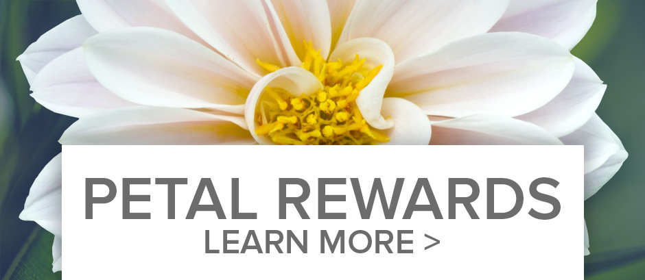 Petal Point Reward Points