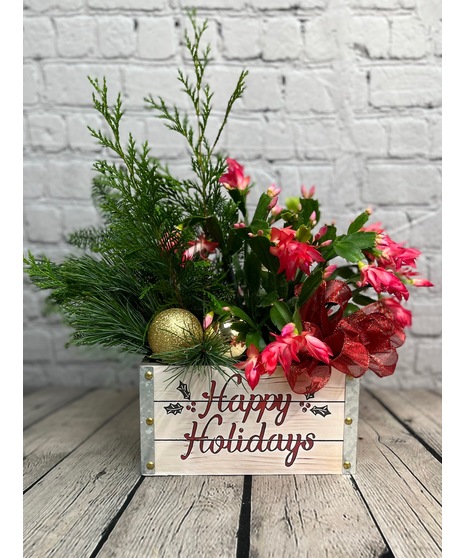 SEASON'S GREETINGS CACTUS CRATE