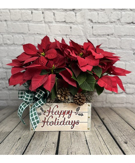 Merry & Bright Poinsettia Crate