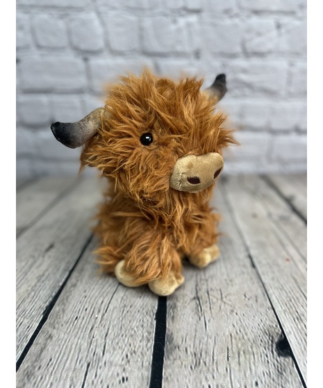 CILLIAN THE HIGHLAND COW