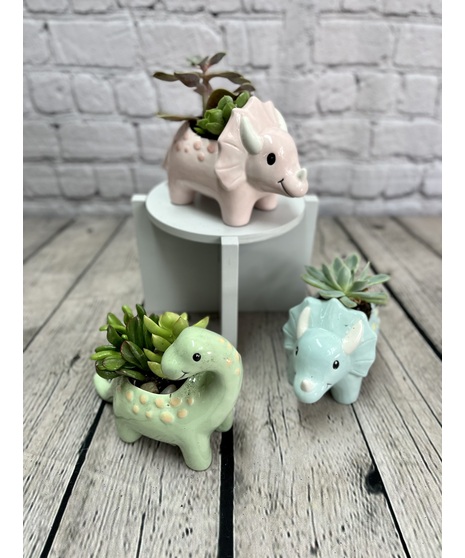 DINO-MITE SUCCULENTS!