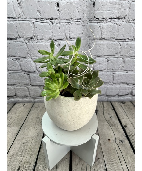 EARTH & STONE PLANTER