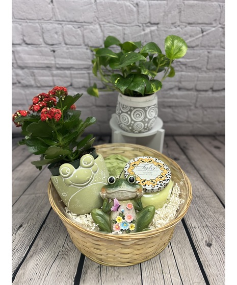 MR. TOAD'S GARDEN
