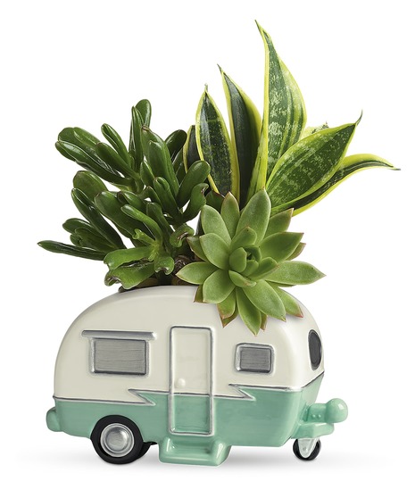 Cool Camper Succulent Garden