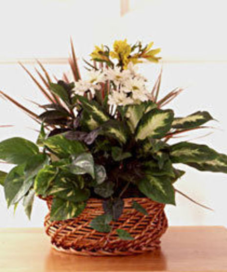 Basket of Blooms