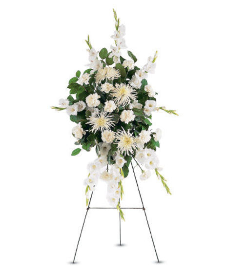 Standing White Promises Spray
