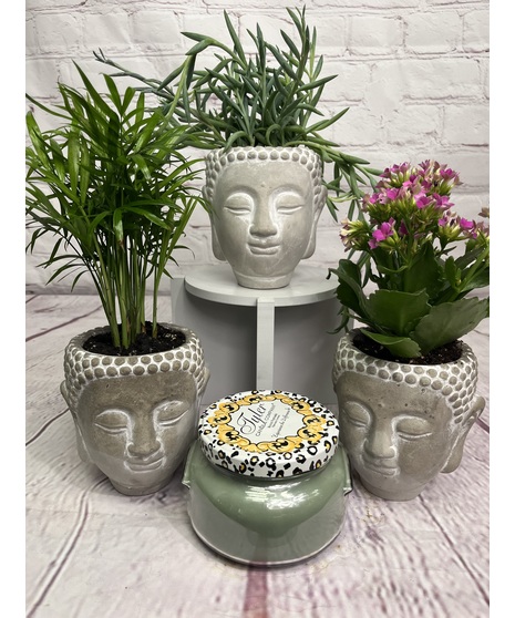 Enlightened Buddha