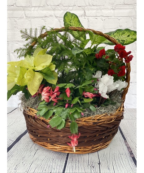 Holiday Gift Basket - Designers Choice