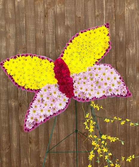 Butterfly Kisses