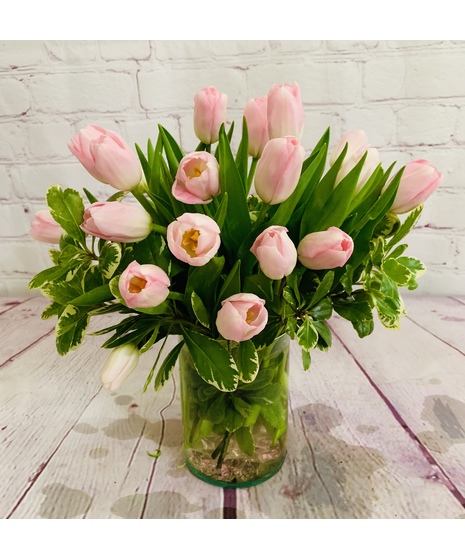 Precious Pink Tulips