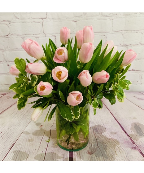 Precious Pink Tulips Fort Worth Tx