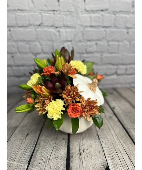 AUTUMN FIELDS PUMPKIN