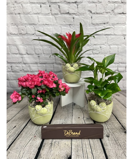 PONDSIDE PLANTER