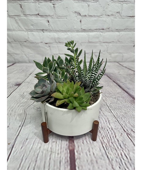 MID CENTURY GARDEN