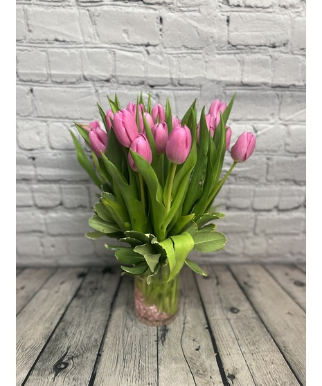 Precious Pink Tulips