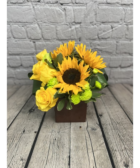 Sunflower Fantasy