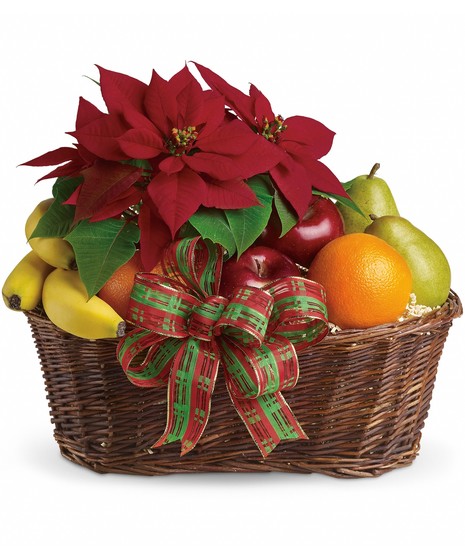 FRUIT AND POINSETTIA