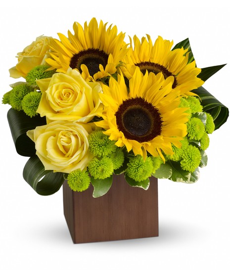Sunflower Fantasy