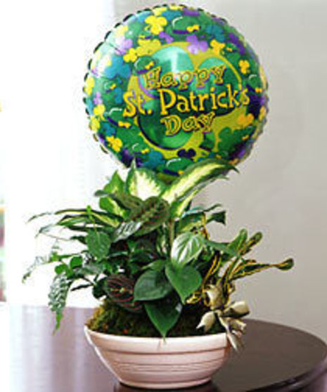Green plant in a white ceramic dish with mylar balloon that says 