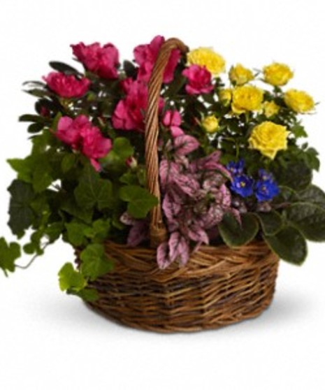 Blooming Garden Basket