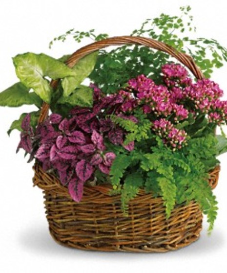 Secret Garden Basket