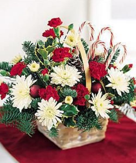 Candy Cane Delight