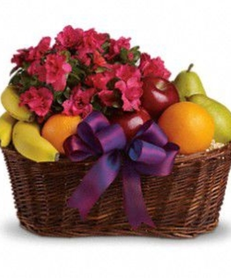 Fruits and Blooms